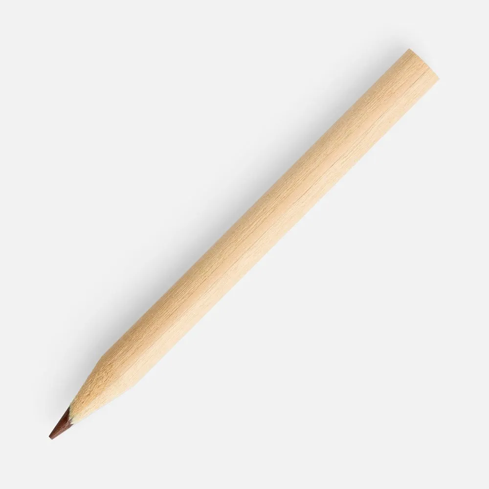 Набор цветных карандашей Pencilvania Middle заказать онлайн с вашим дизайном на заказ в Москве и области