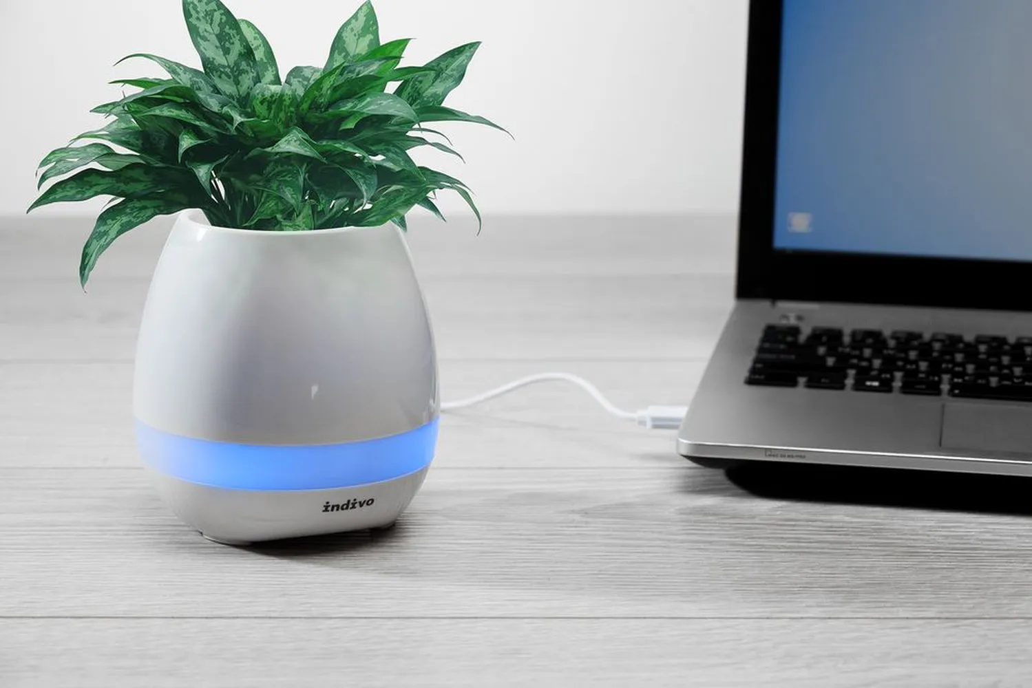 Беспроводная колонка melodyPot, белая заказать онлайн с вашим дизайном на заказ в Москве и области