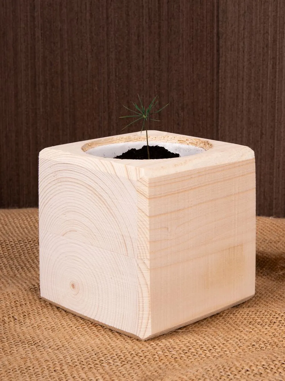 Набор для выращивания «Экокуб», сосна заказать онлайн с вашим дизайном на заказ в Москве и области