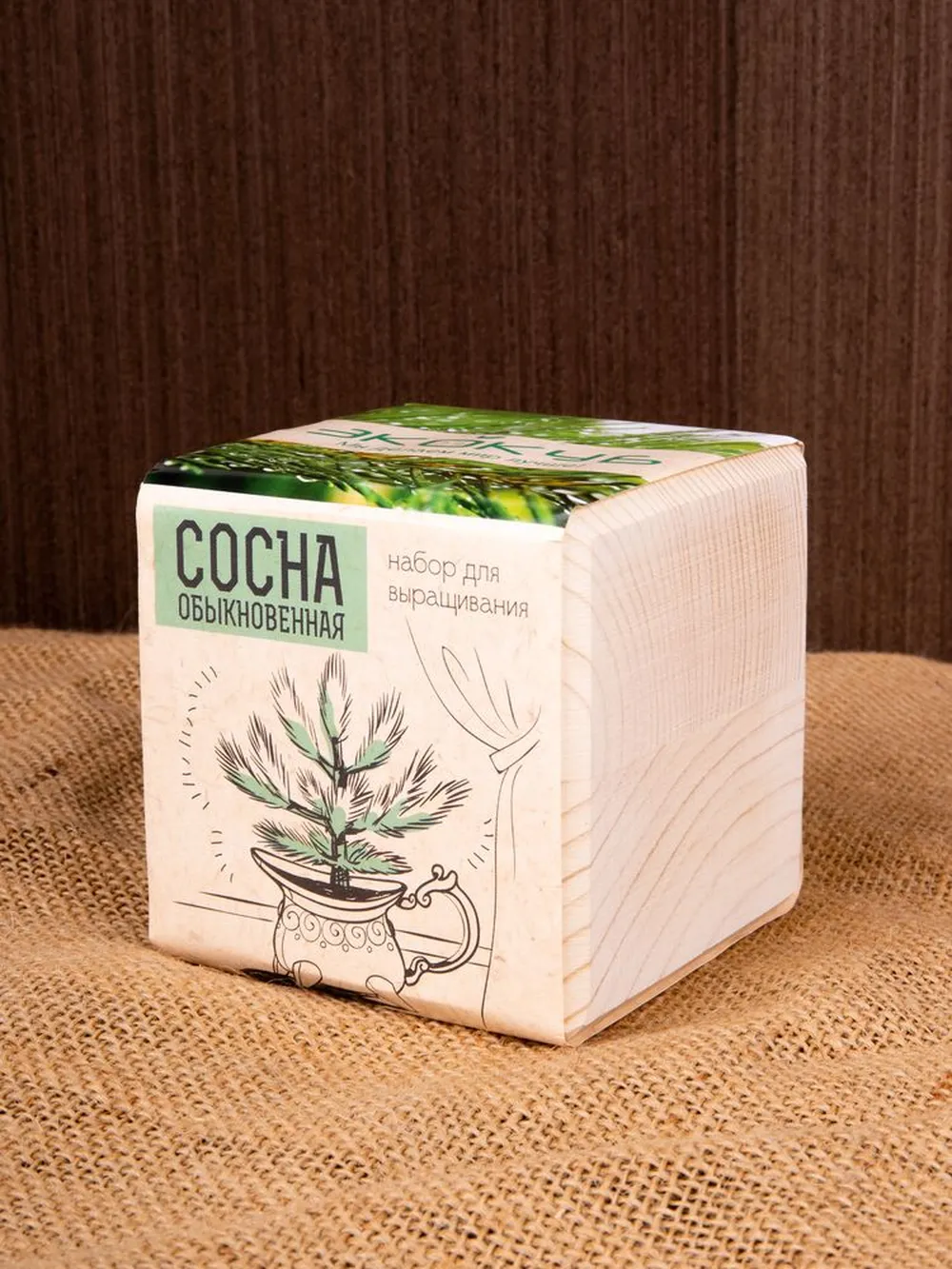 Набор для выращивания «Экокуб», сосна заказать онлайн с вашим дизайном на заказ в Москве и области