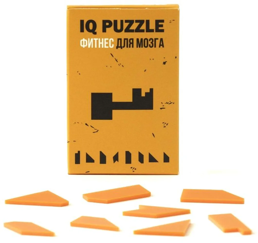 Головоломка IQ Puzzle, ключ заказать онлайн с вашим дизайном на заказ в Москве и области