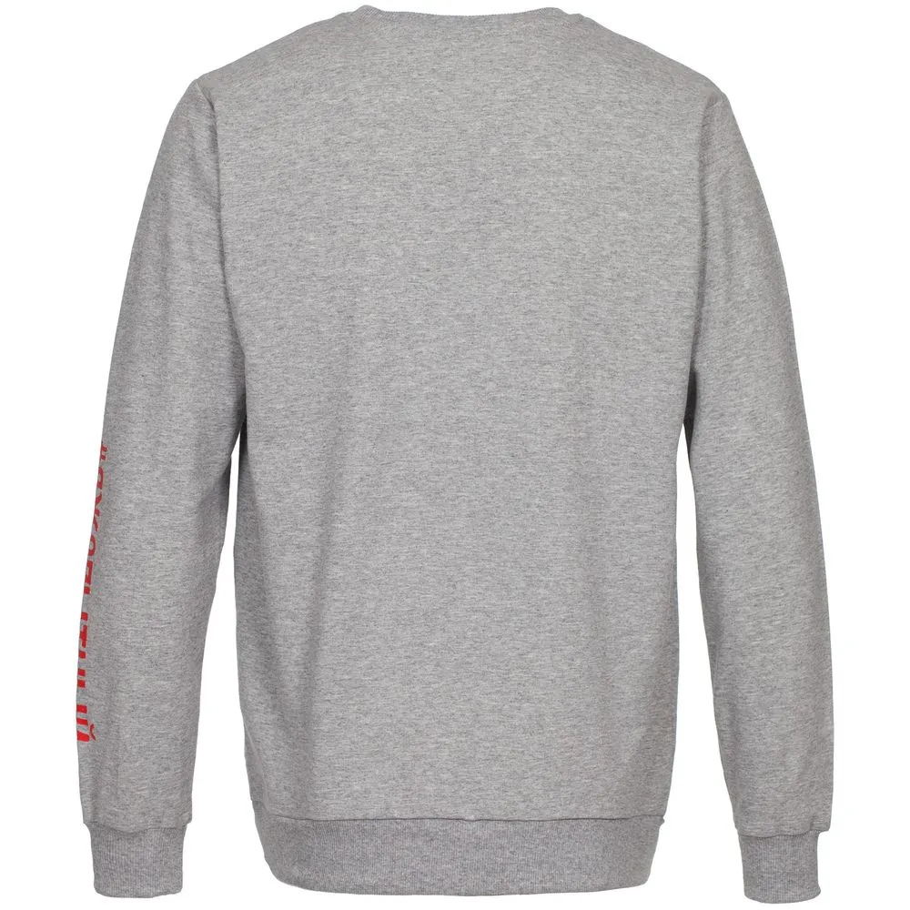 Толстовка «Ногиотушей», серый меланж, размер L заказать онлайн с вашим дизайном на заказ в Москве и области