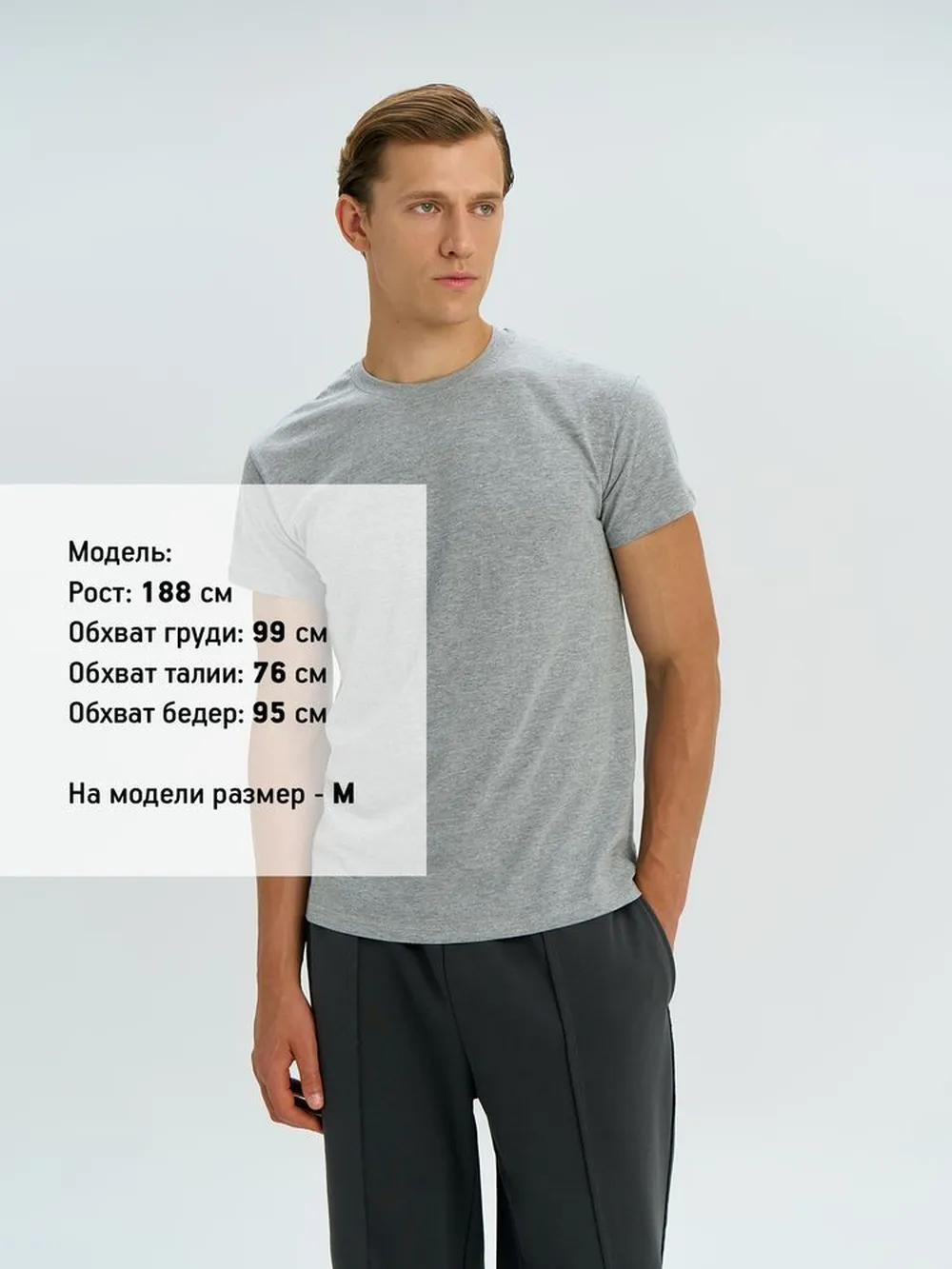 Футболка Regent 150, темно-серая, размер XXL заказать онлайн с вашим дизайном на заказ в Москве и области