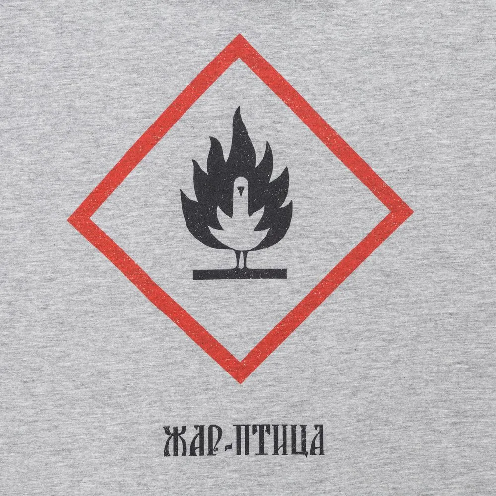 Футболка «Жар-птица», серый меланж заказать онлайн с вашим дизайном на заказ в Москве и области
