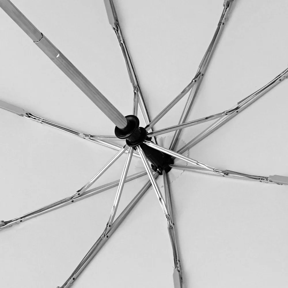 Зонт складной AOC, светло-серый заказать онлайн с вашим дизайном на заказ в Москве и области