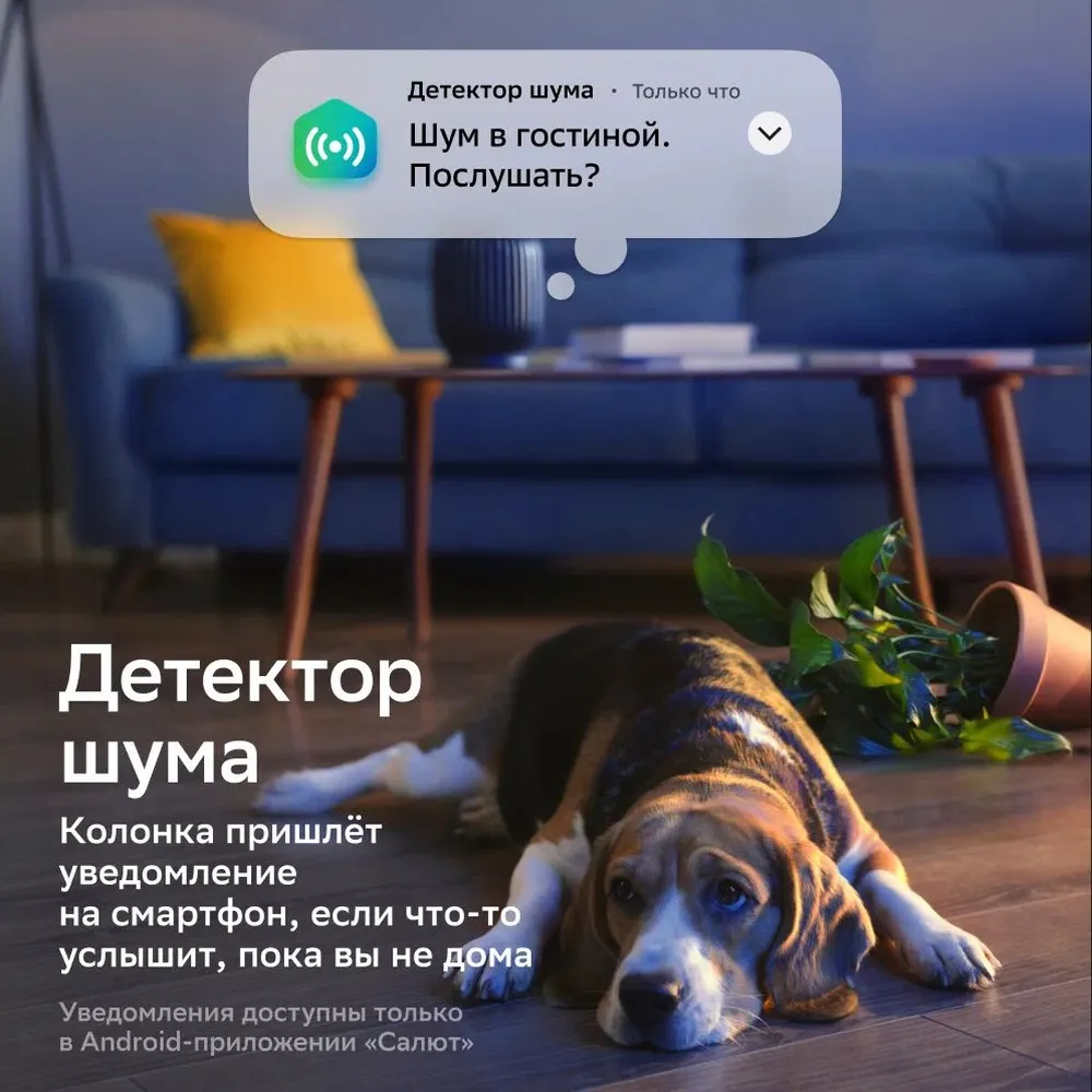 Умная колонка SberBoom, лунный серый заказать онлайн с вашим дизайном на заказ в Москве и области
