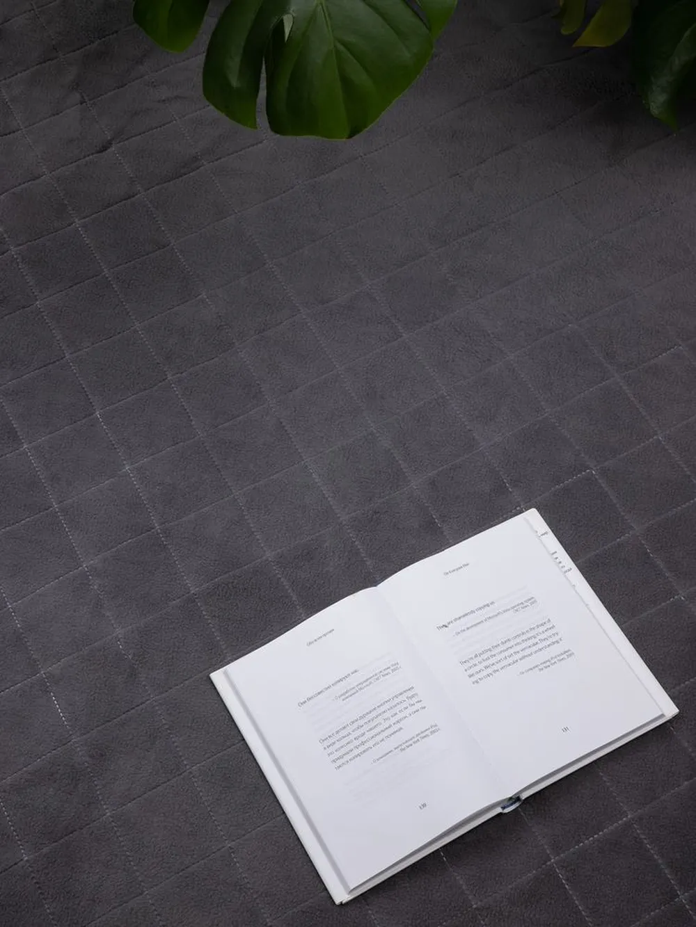 Плед для пикника Soft & Dry 2, серый заказать онлайн с вашим дизайном на заказ в Москве и области