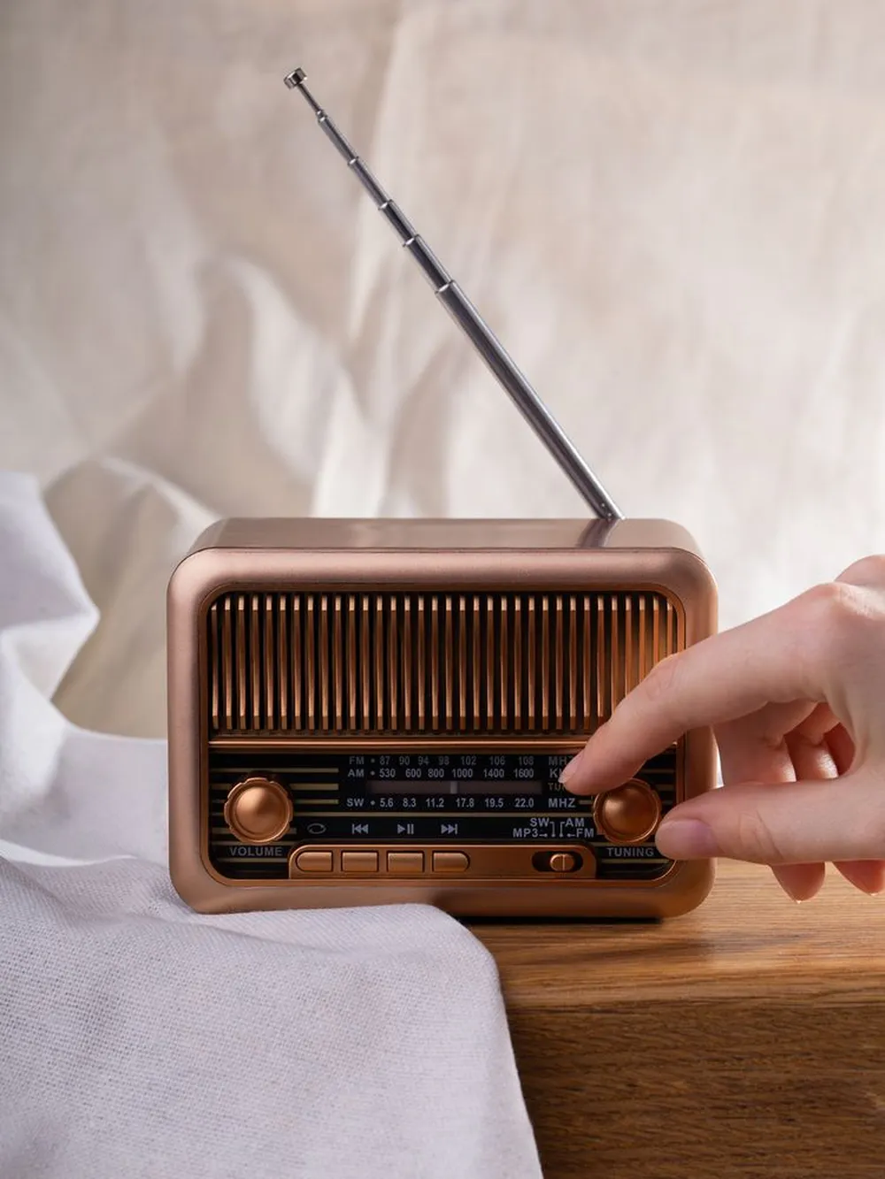 Bluetooth-колонка с радио Beatnik, коричневая заказать онлайн с вашим дизайном на заказ в Москве и области