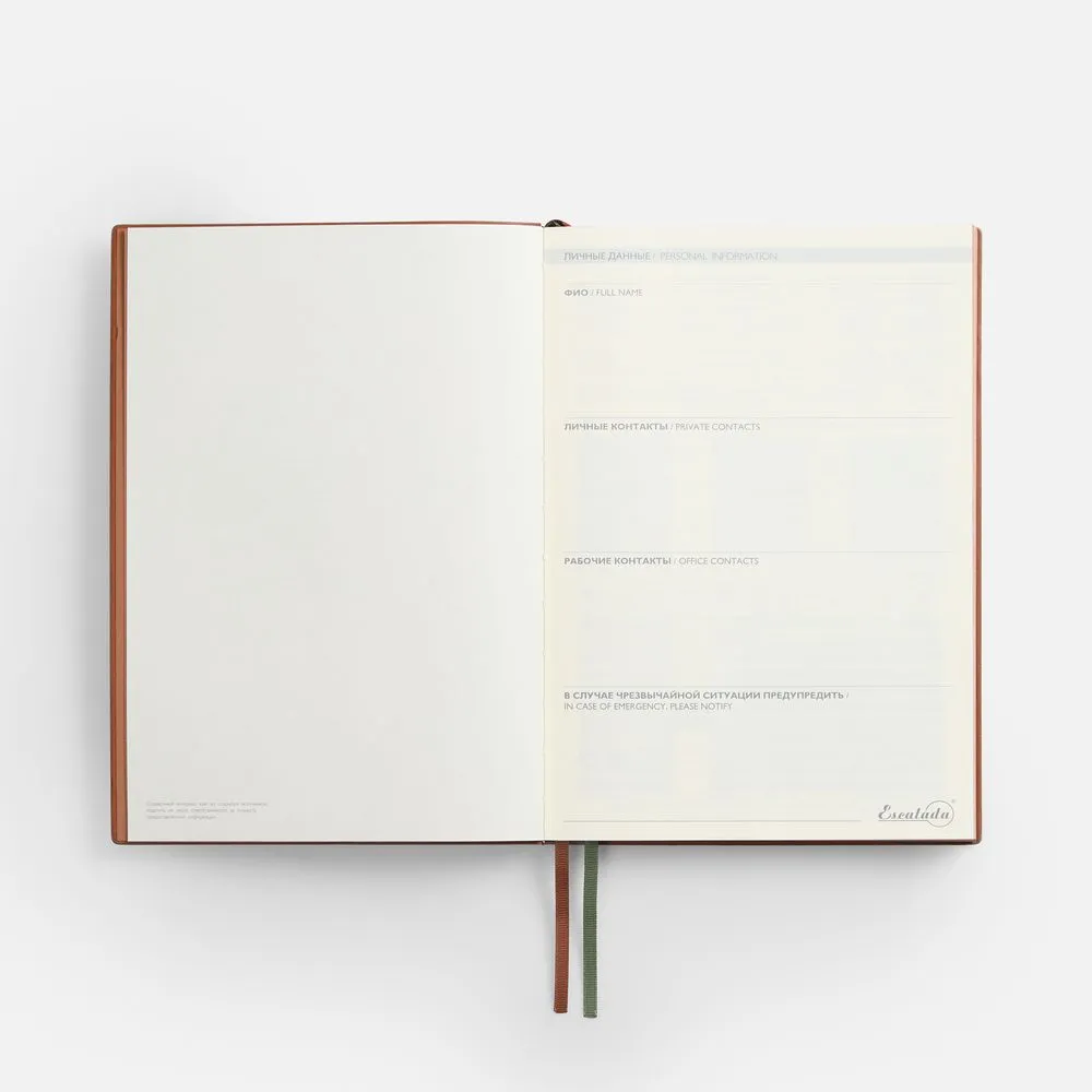 Ежедневник Avila, недатированный, зеленый заказать онлайн с вашим дизайном на заказ в Москве и области