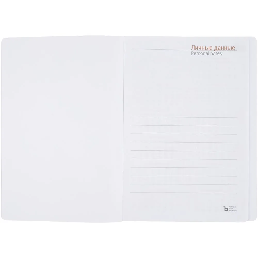 Ежедневник Basis, датированный, красный заказать онлайн с вашим дизайном на заказ в Москве и области