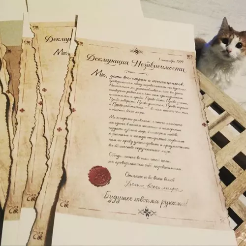 Состареные декларации для KidZania, г. Москва и для вас на заказ в Москве, области, да где угодно!