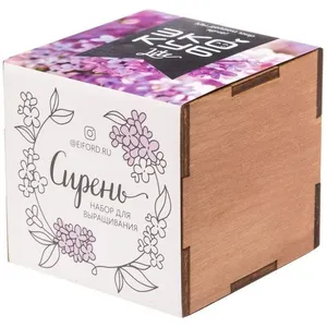 Набор для выращивания «Экокуб Lite», сирень заказать онлайн со своим дизайном в РПК КБ с доставкой и скидками