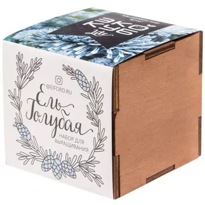 Набор для выращивания «Экокуб Lite», ель голубая заказать онлайн со своим дизайном в РПК КБ с доставкой и скидками