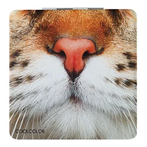 Зеркало «Кис-Kiss», квадратное заказать онлайн со своим дизайном в РПК КБ с доставкой и скидками