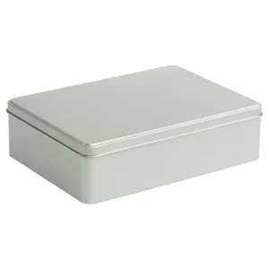 Коробка Pragmax L, прямоугольная, серебристая заказать онлайн со своим дизайном в РПК КБ с доставкой и скидками
