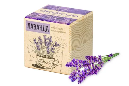 Набор для выращивания «Экокуб», лаванда заказать онлайн со своим дизайном в РПК КБ с доставкой и скидками